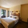hotel case latine