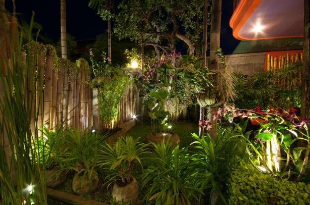 golden butterfly villa