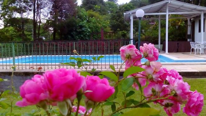 pousada casa do bosque