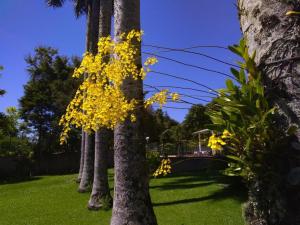 pousada casa do bosque