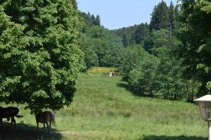 gassbachtal
