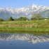 hakuba