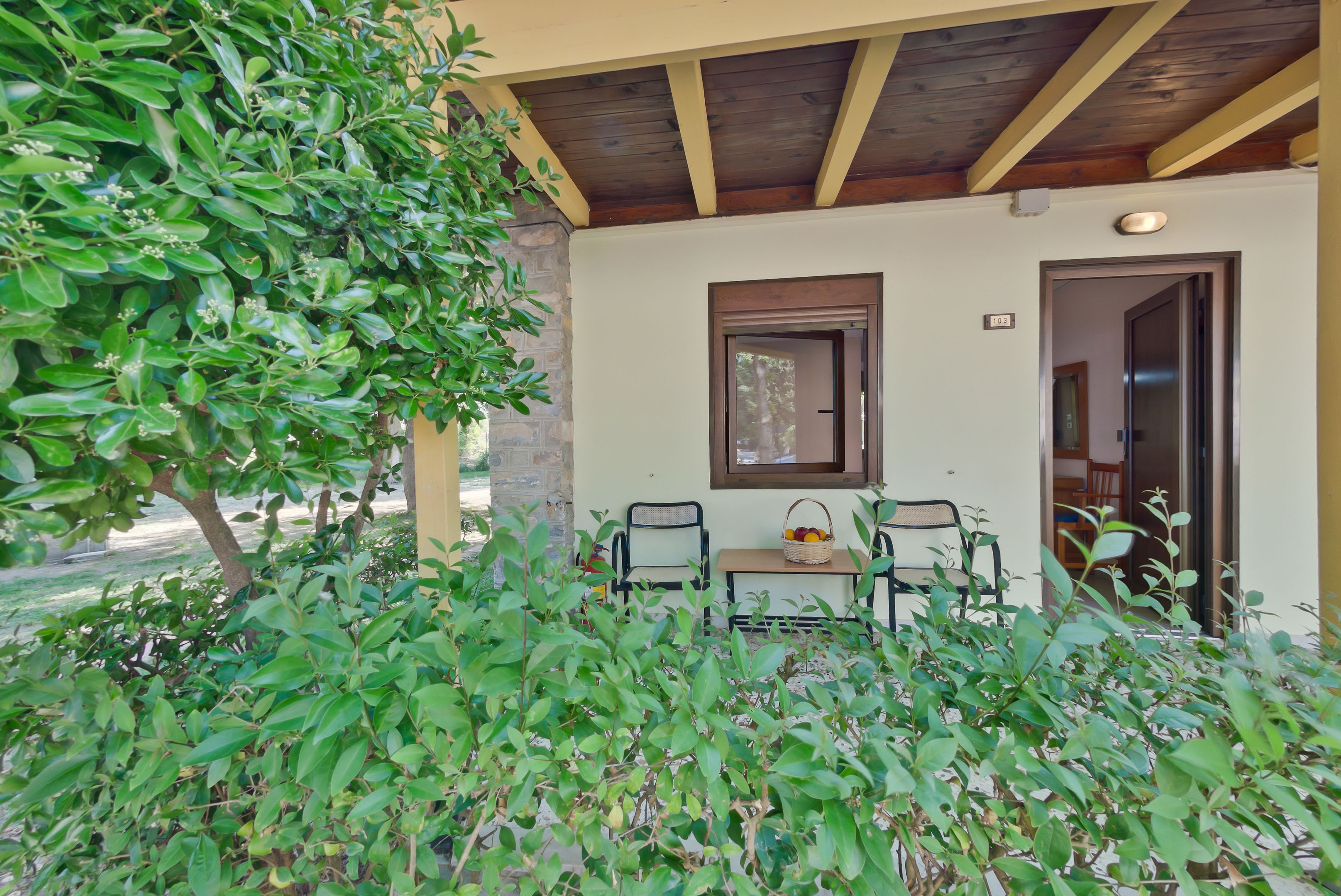 olympios zeus hotel bungalows
