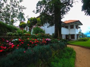 Governor's Mansion,Ambewella>>Ambagamuwa,5 star