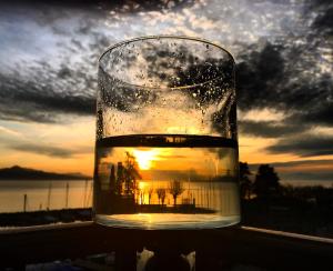 rivage hotel restaurant lutry