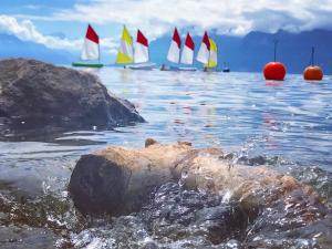 rivage hotel restaurant lutry