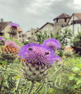 rivage hotel restaurant lutry