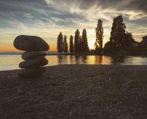 rivage hotel restaurant lutry