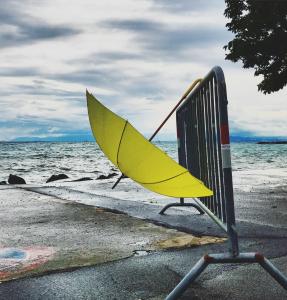 rivage hotel restaurant lutry