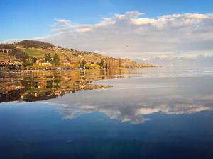 rivage hotel restaurant lutry