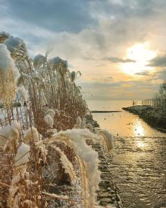 rivage hotel restaurant lutry