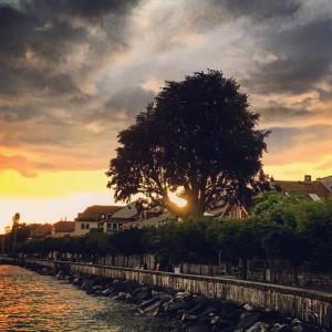 rivage hotel restaurant lutry