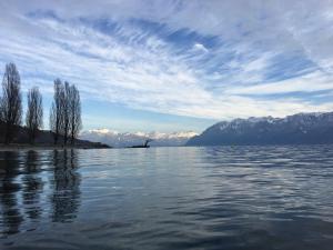 rivage hotel restaurant lutry