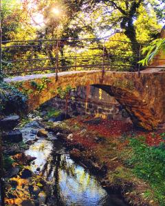 rivage hotel restaurant lutry