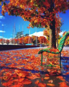 rivage hotel restaurant lutry