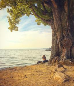 rivage hotel restaurant lutry