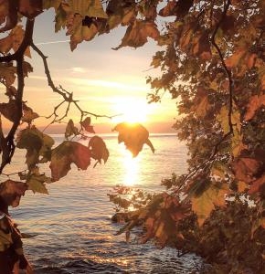 Rivage Hotel Restaurant Lutry,Lausanne>>Cully,3 star