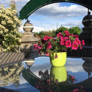 rivage hotel restaurant lutry