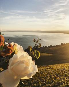 rivage hotel restaurant lutry