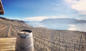 Rivage Hotel Restaurant Lutry,Lausanne>>Cully,3 star