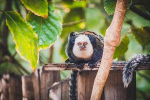 hotel boutique bahia bonita