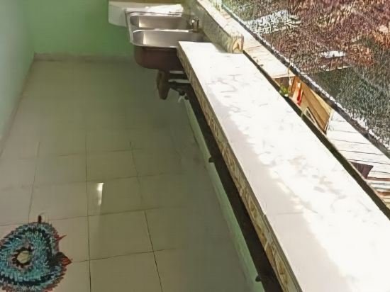 pangkor guesthouse spk