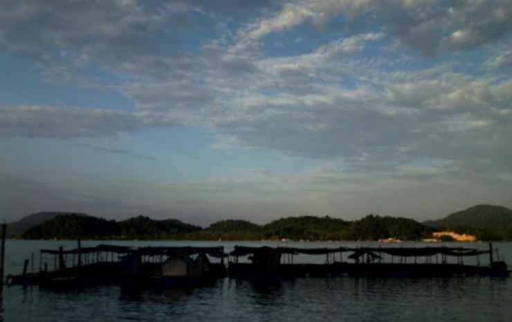 pangkor guesthouse spk