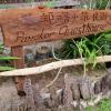 pangkor guesthouse spk