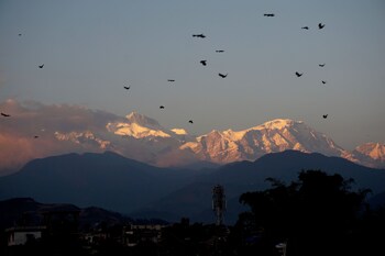 new annapurna guest house