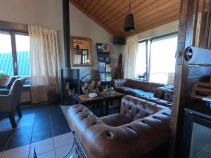 human and horse hotel