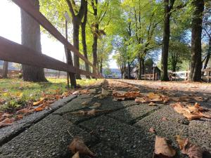 human and horse hotel