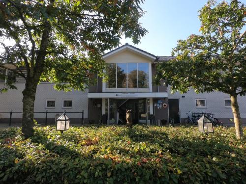 human and horse hotel