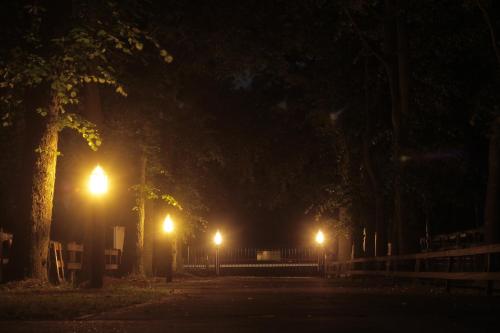 human and horse hotel