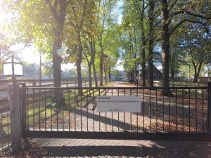 human and horse hotel