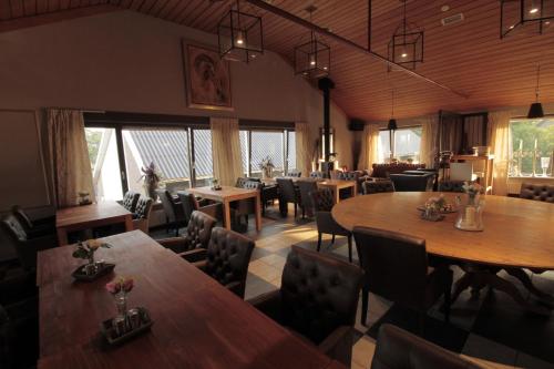 human and horse hotel