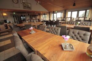 human and horse hotel