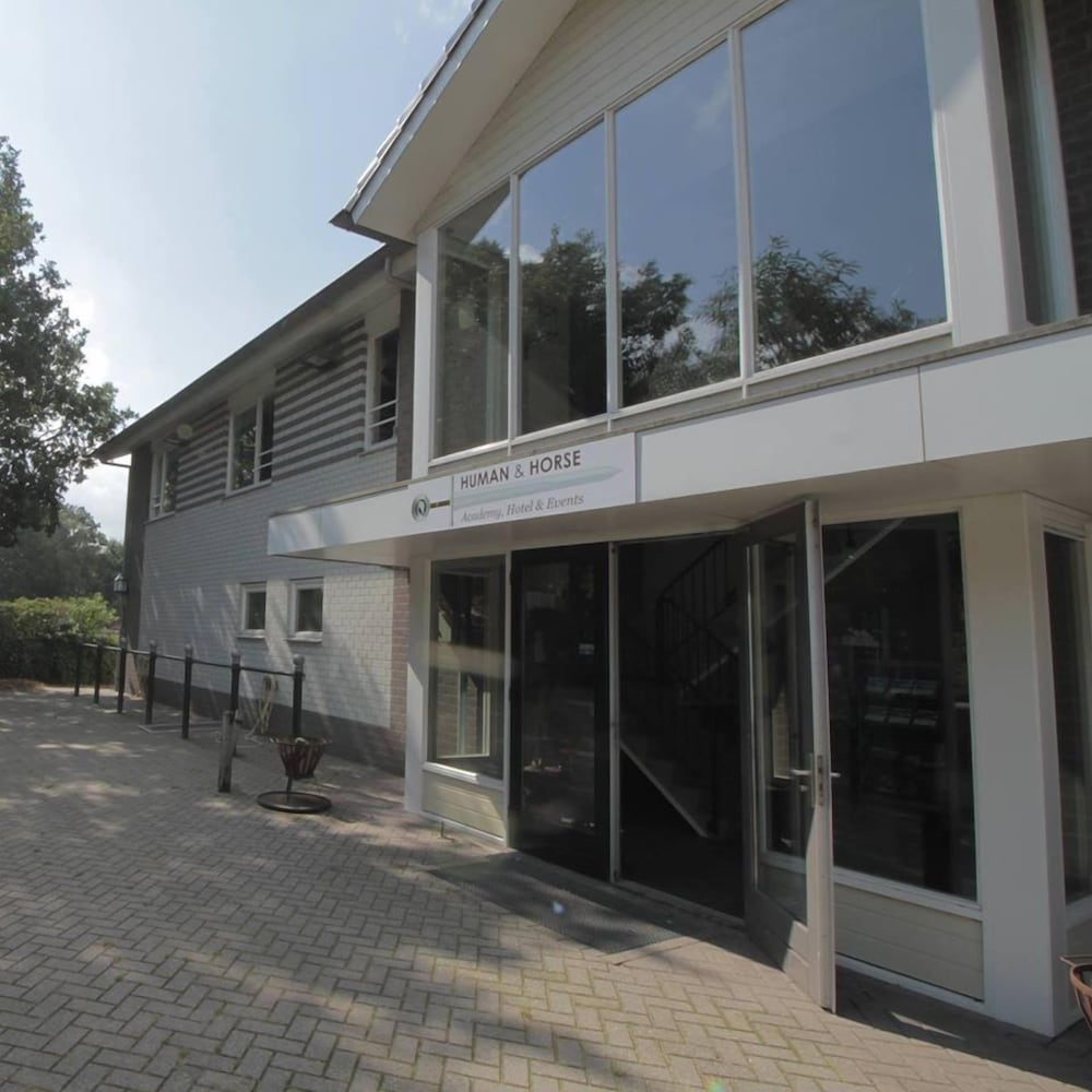 human and horse hotel