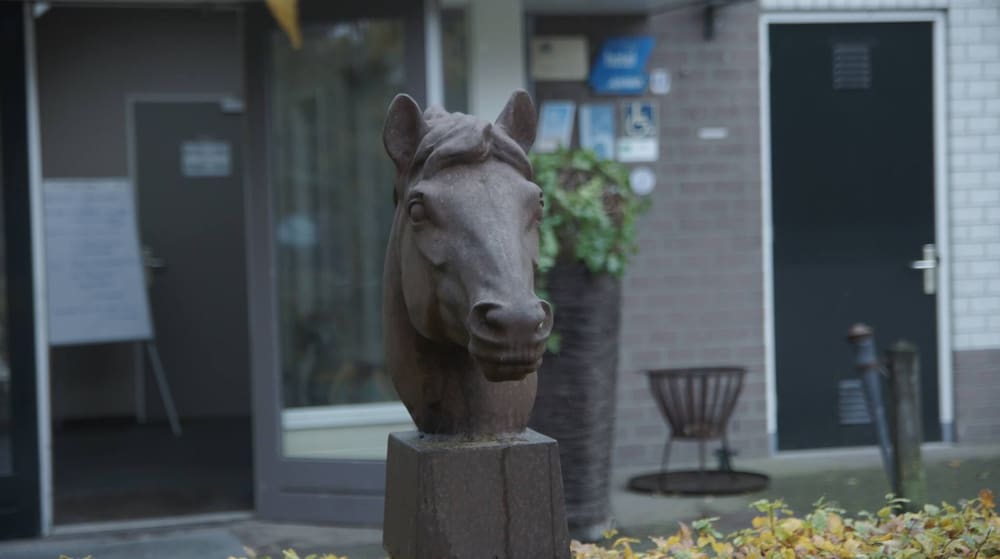 human and horse hotel