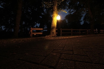 human and horse hotel