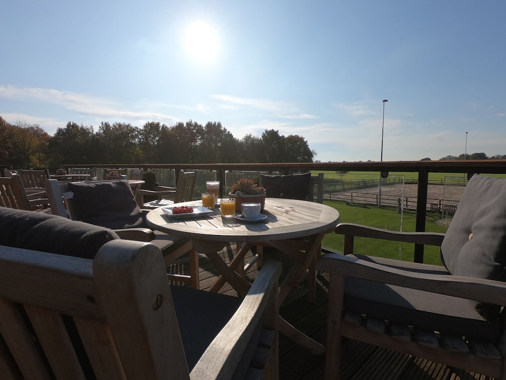 human and horse hotel