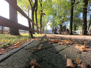 human and horse hotel