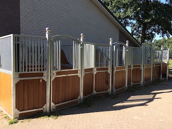 human and horse hotel