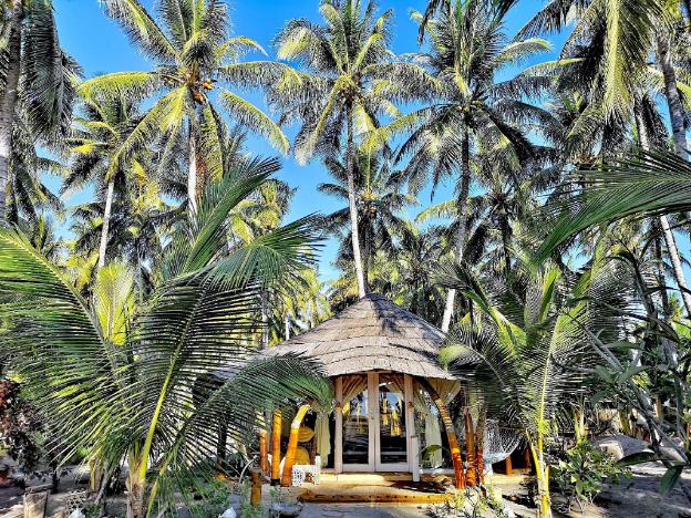 coconut garden beach resort