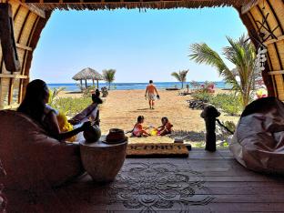 coconut garden beach resort