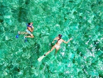 coconut garden beach resort