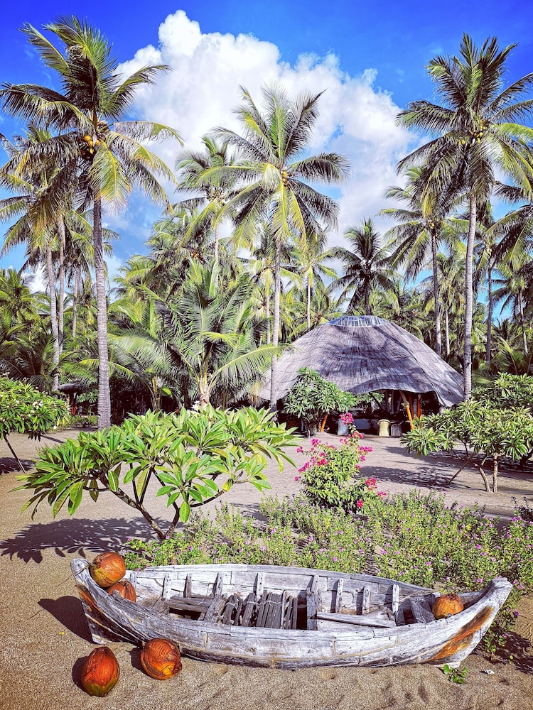 coconut garden beach resort