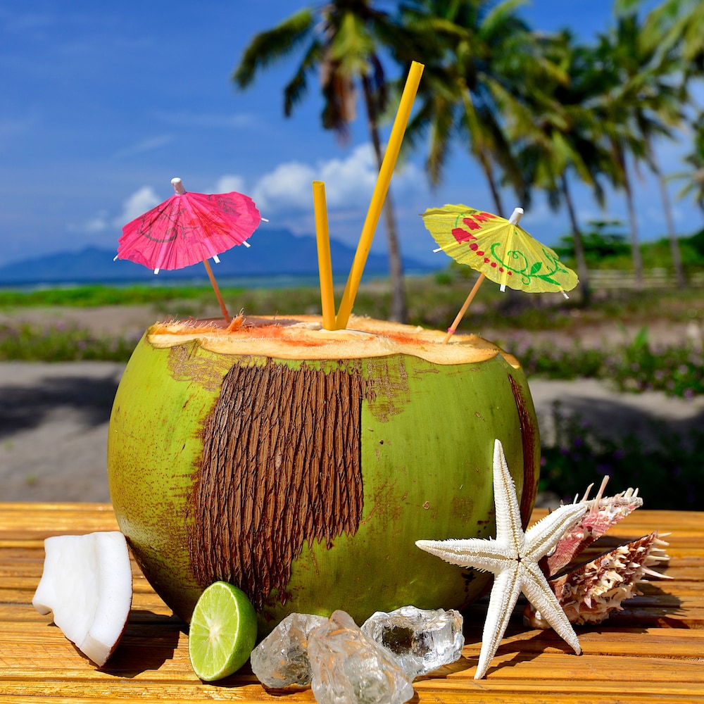 coconut garden beach resort