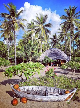 coconut garden beach resort