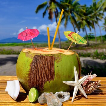 coconut garden beach resort