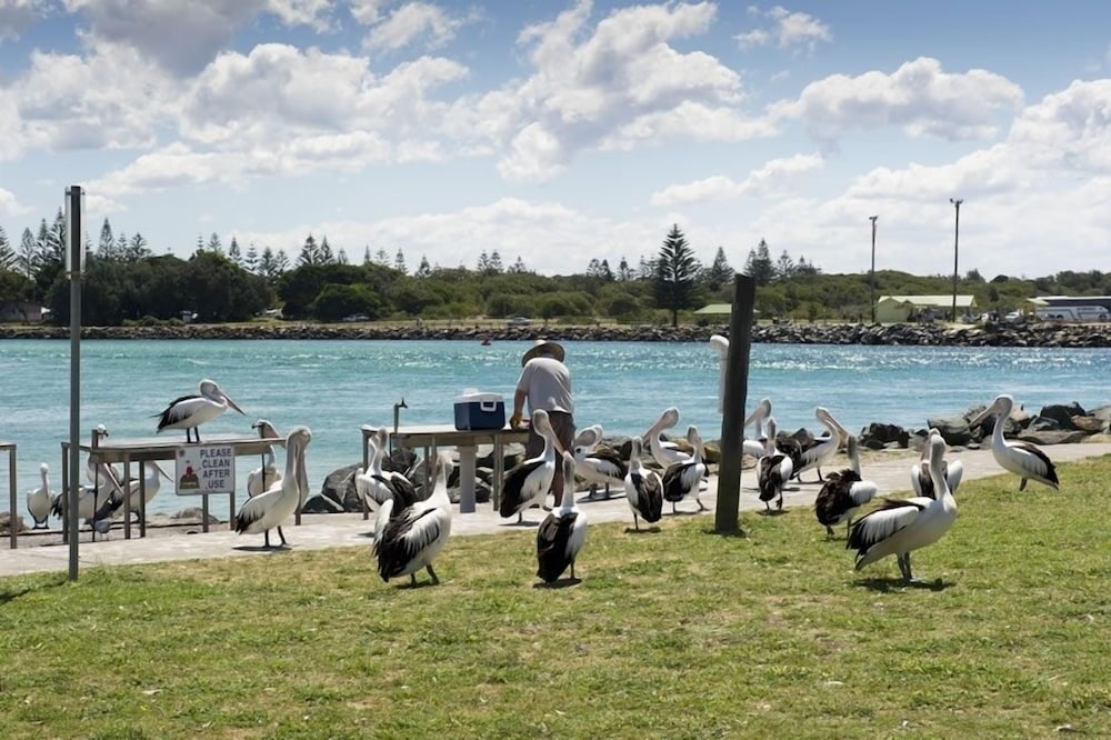 reflections forster beach holiday park